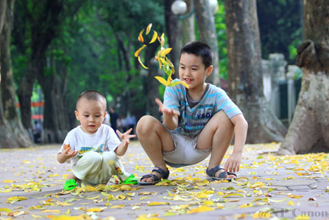 Hanoi’s fascinating beauty with yellow leaves falling